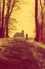 Aerochrome: Medvednica park, Croatia