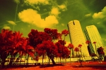 Aerochrome: Tampa