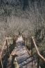 Ektachrome: Okatse Canyon, Kutaisi Georgia