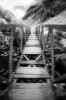 STRATEGIC DECISION — Efke 820: Footbridge in Theth, Albania