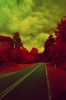 Aerochrome: Open Road