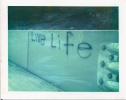 Polaroid 669: Live Life
